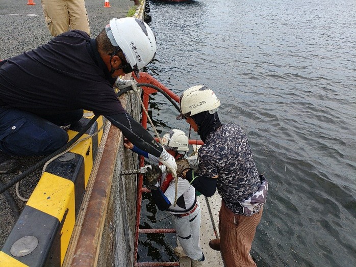 防舷材取替工事の様子